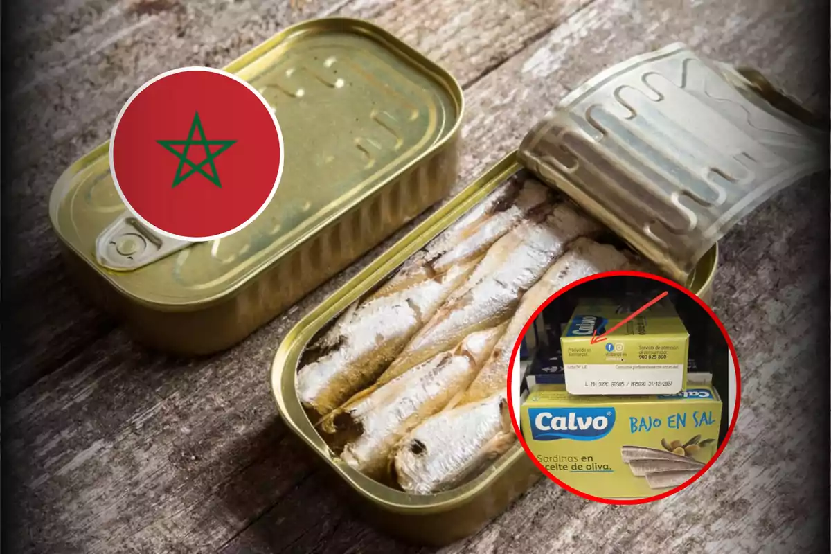 An open can of sardines on a wooden surface, with a red circle highlighting a box of Calvo brand sardines and a Moroccan symbol in the top left corner.