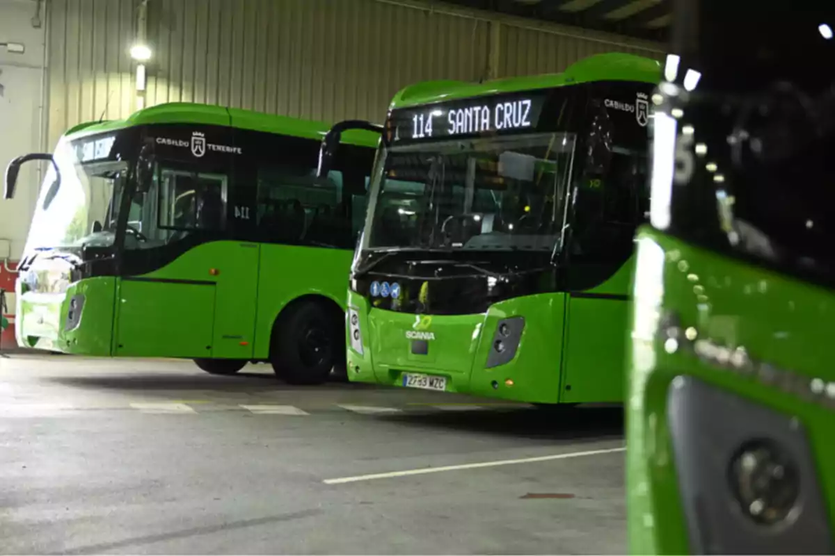 Autobuses verdes estacionados en un garaje con destino a Santa Cruz. Autobuses verdes estacionados en un garaje con destino a Santa Cruz.