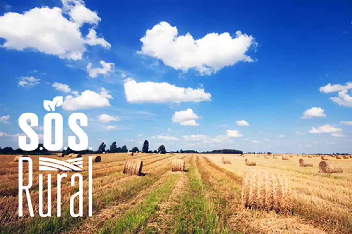 Campo de trigo con pacas de heno bajo un cielo azul con nubes y el texto "S.O.S. Rural" en la esquina izquierda.