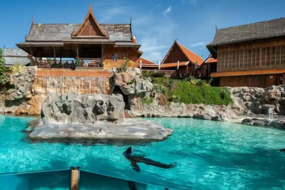 Una piscina con agua cristalina y un entorno de estilo tailandés con edificios de madera y un pequeño acantilado con una cascada.