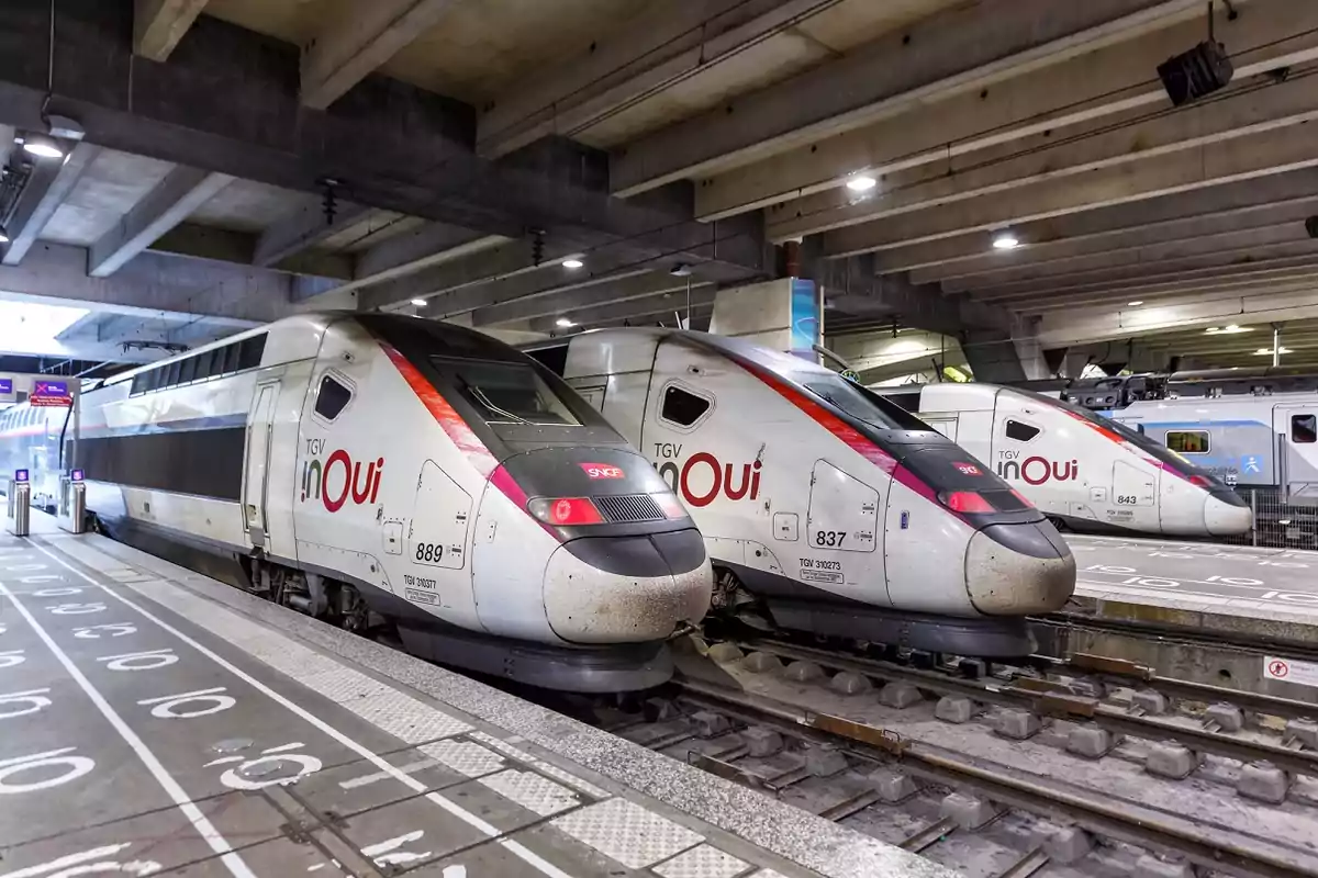 Trenes de alta velocidad TGV inOui estacionados en una estación cubierta.