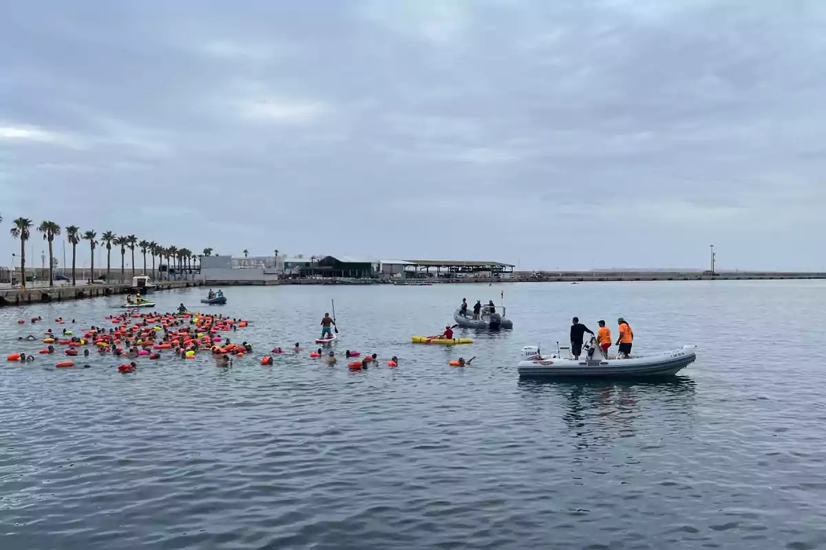 La 94 edición de la Vuelta a la Escollera de Alicante, organizada por la concejalía de Deportes y el Club Natación Aquatic Alicante