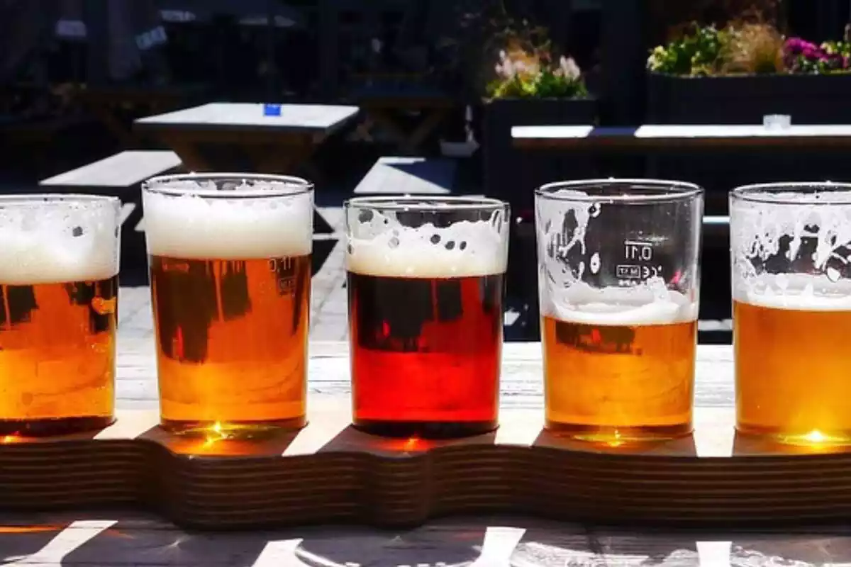 vasos con diferentes tipos de cerveza