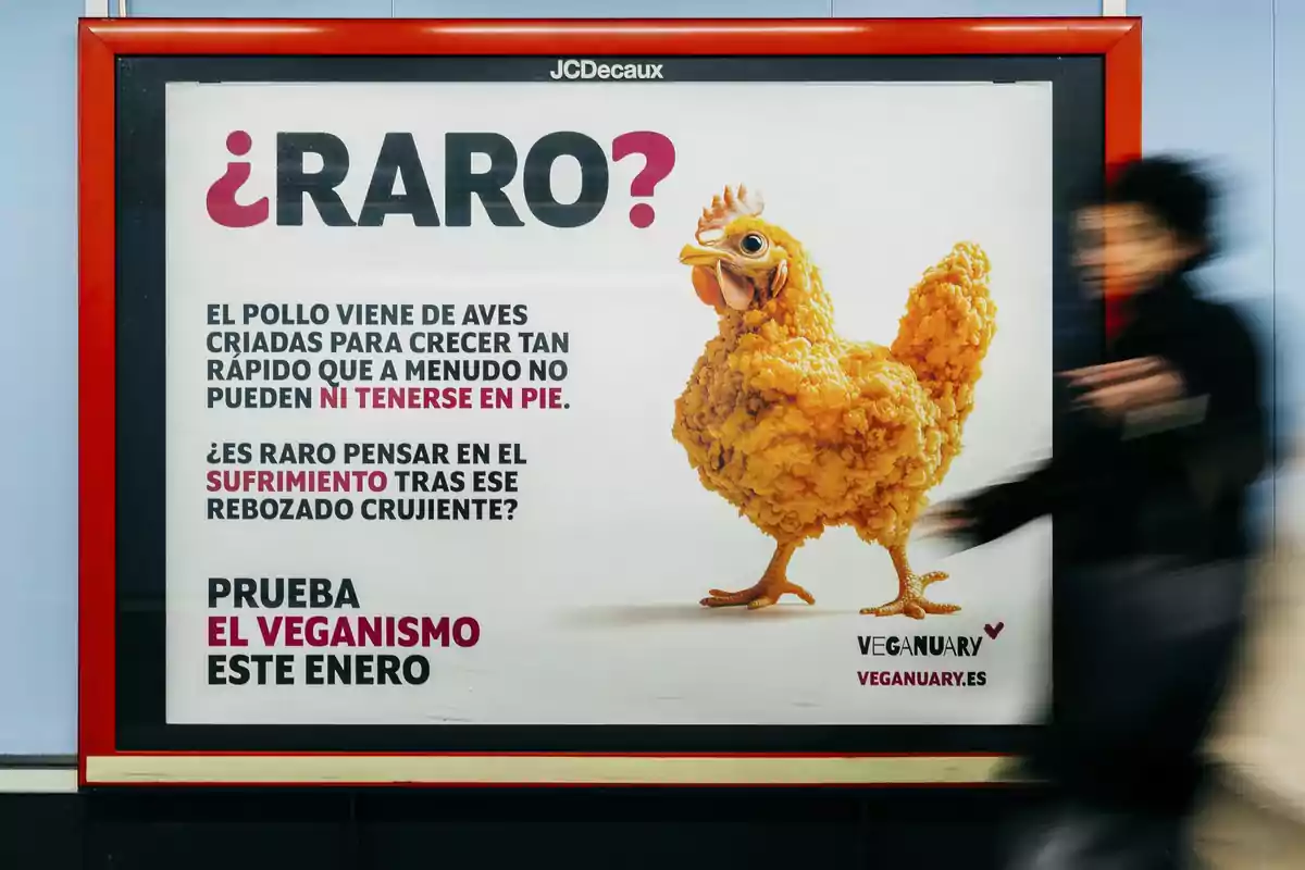 Un cartel publicitario muestra un pollo frito con la pregunta "¿Raro?" y un mensaje que invita a reflexionar sobre el sufrimiento animal y a probar el veganismo en enero.