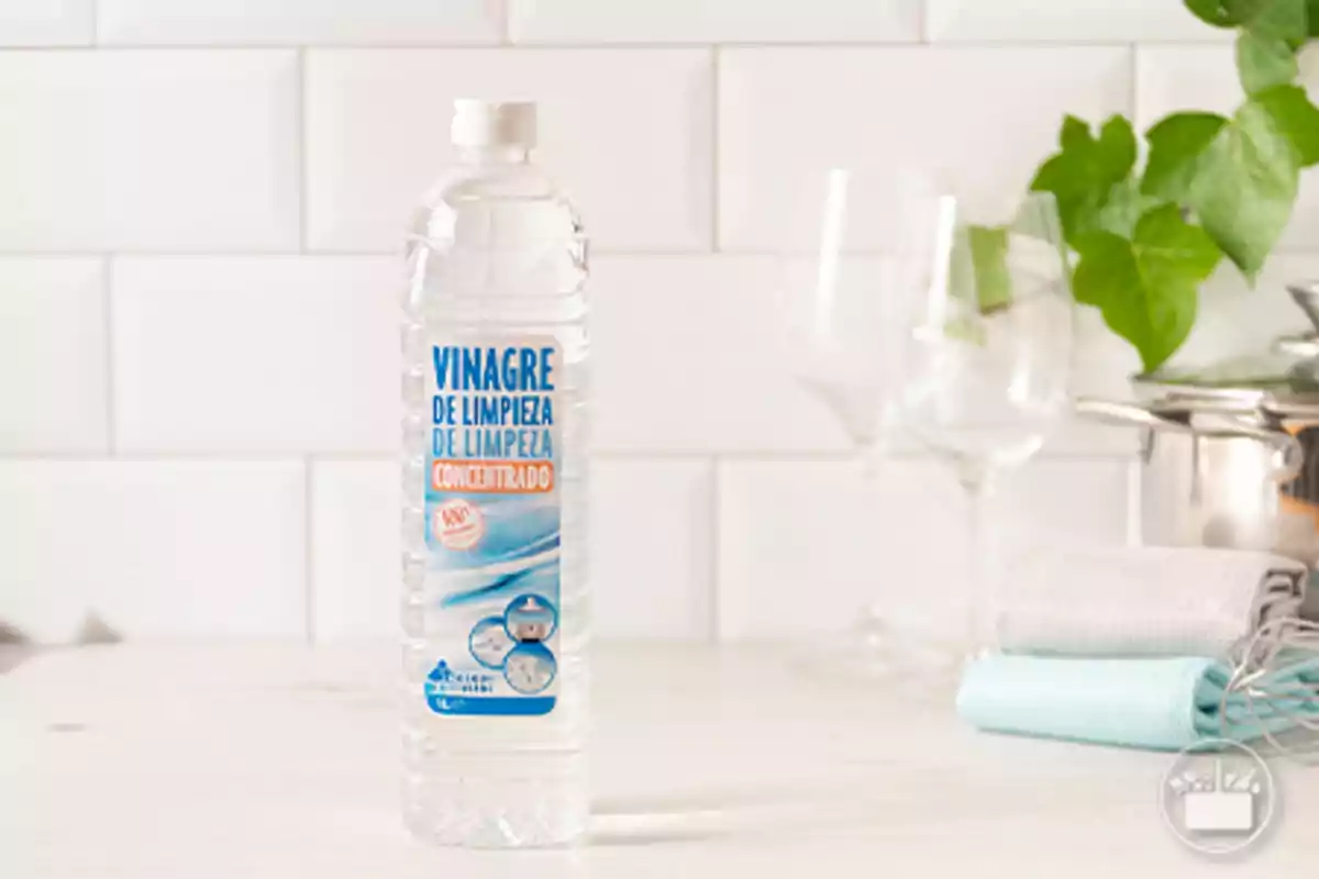 Botella de vinagre de limpieza concentrado sobre una encimera blanca con copas y paños al fondo. Botella de vinagre de limpieza concentrado sobre una encimera blanca con copas y paños al fondo.