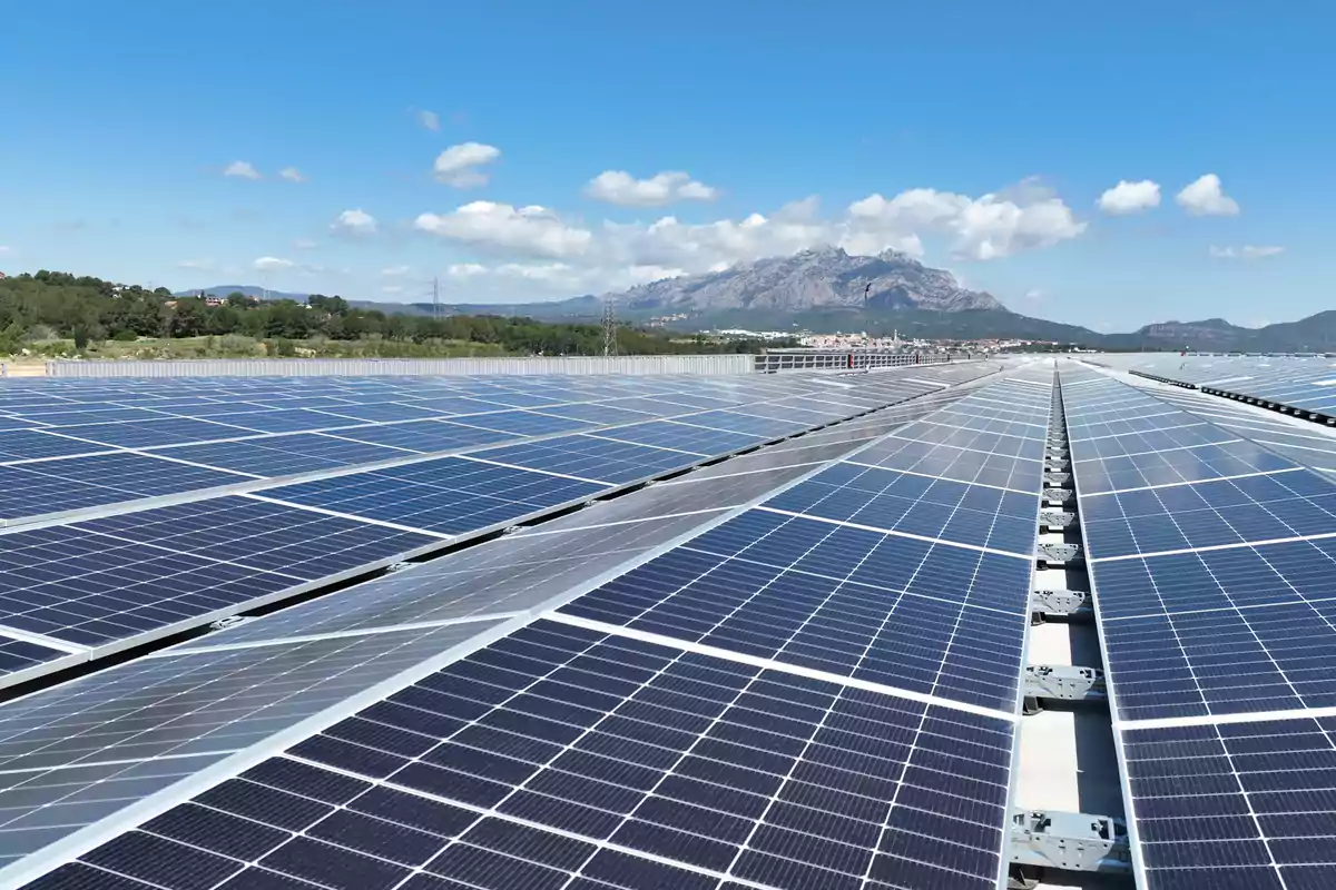 Mercadona y sus instalaciones de la planta fotovoltaica en el bloque logístico de Abrera