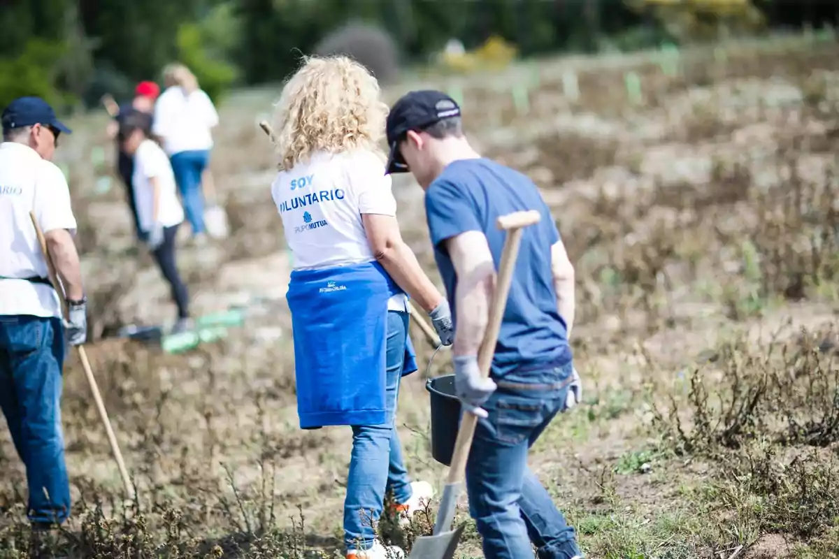 voluntarios en el campo trabajando