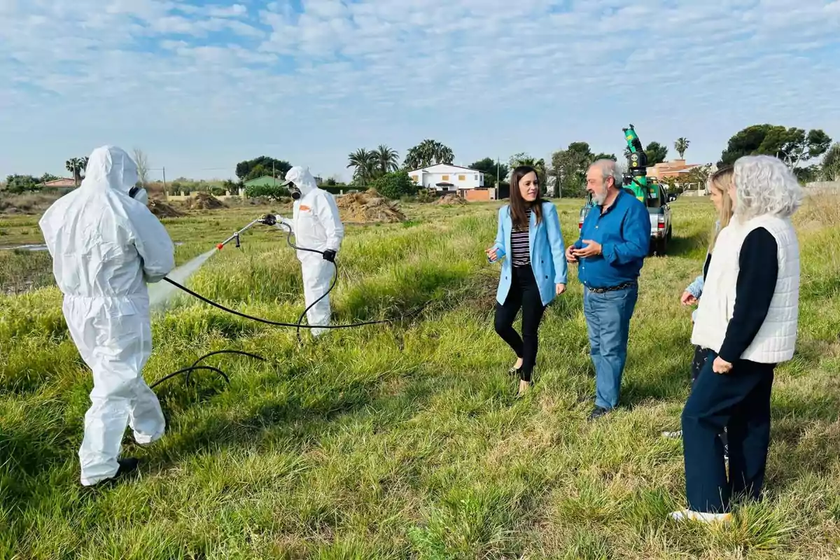 Campaña contra el mosquito tigre en Castellón