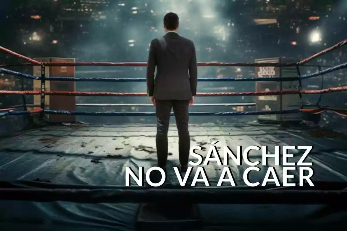 Un hombre de espaldas en un ring de boxeo con la frase "Sánchez no va a caer" escrita en la imagen.