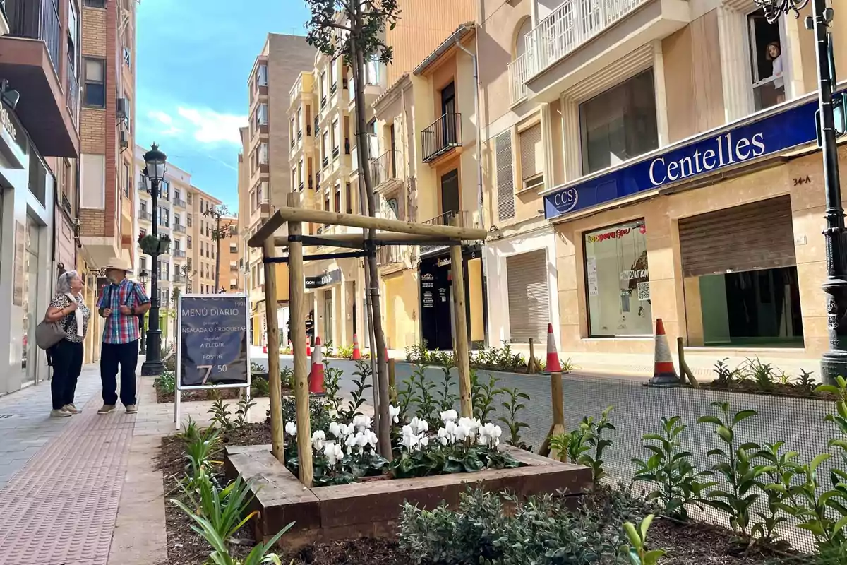 Calle peatonal de Castellón