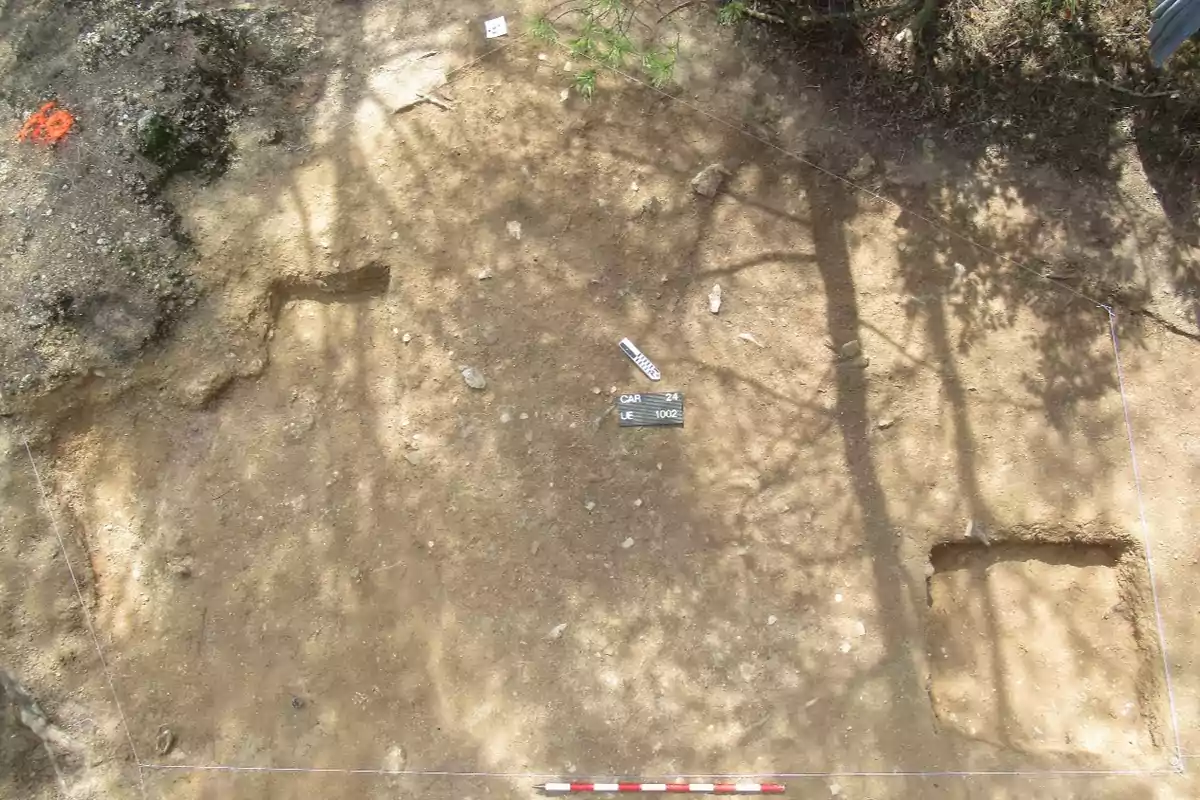 Archaeological excavation with two grid squares marked out in an earthy terrain, surrounded by vegetation and tree shadows.